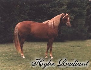 Hylee Radiant